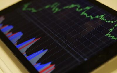 Resumen de mercados y estrategias adoptadas durante el primer semestre de 2024