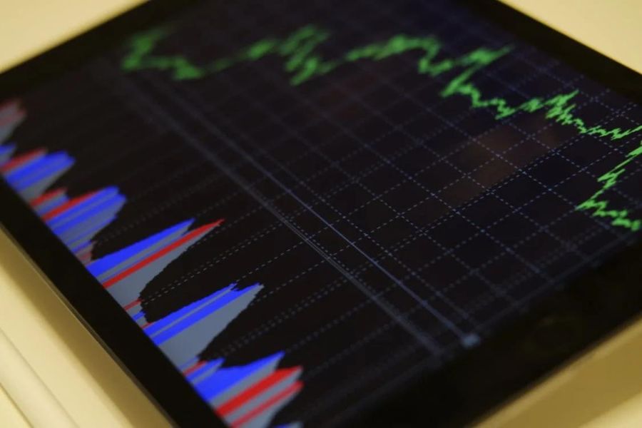 Resumen de mercados y estrategias adoptadas durante el primer semestre de 2024